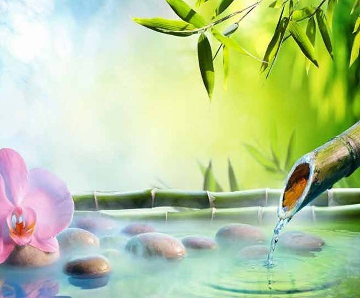 Tema Resort