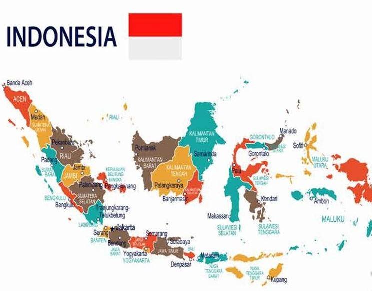 Tema Peta Dunia-Serat Jeruk Glitter